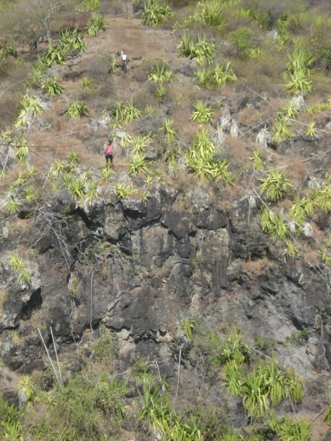 off and away on the zip line