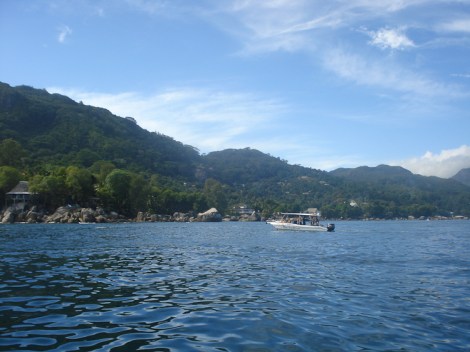 blue sea diver speed boat