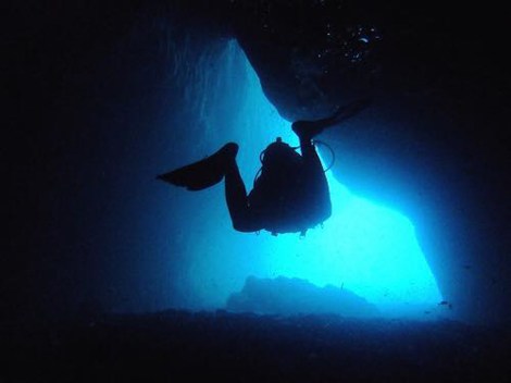 11131830_10206486539860499_2050897515_n