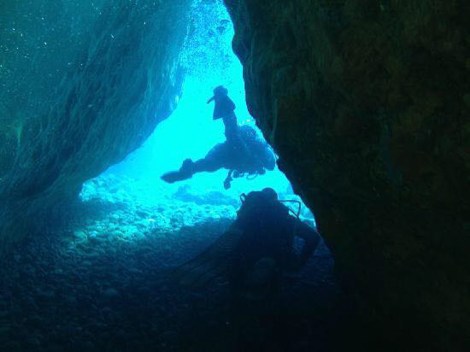 11134198_10206486539900500_1146646816_n